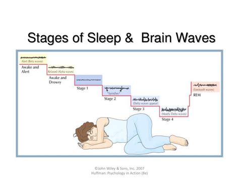 Normal Sleep Architecture