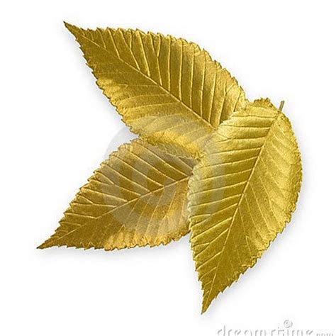 Gold Leaf - YouTube