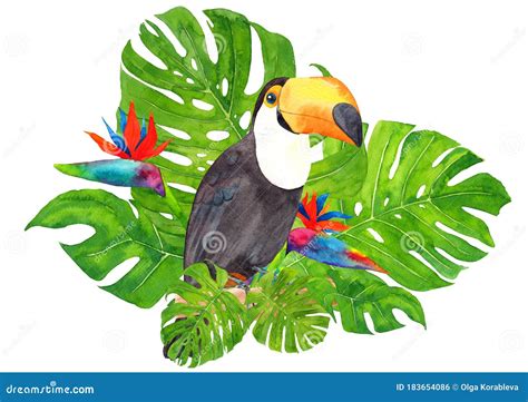 Toucan Toco, Ramphastos Toco Head Black Silhouette, Bird Face Logo Vector Illustration ...