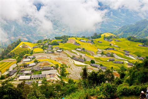 Ripen Rice Terraces in Ha Giang, Vietnam. Stock Photo - Image of people, mountainous: 149600476