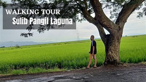 Walking Trip Sulib Pangil Laguna | Places, Resorts, Famous Landmarks (Road Map With English ...