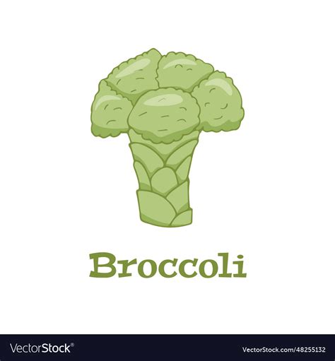 Broccoli simple flat logo Royalty Free Vector Image