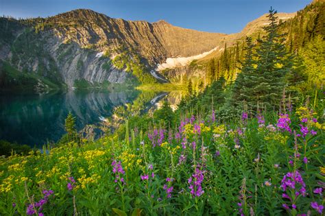 Montana Wilderness - doug roane photography