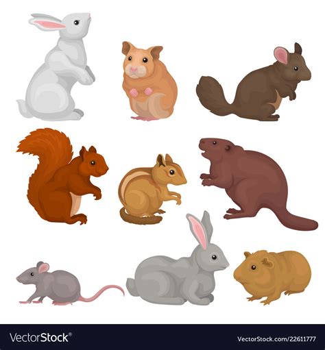 Cute rodents set small wild and domestic animals Vector Image