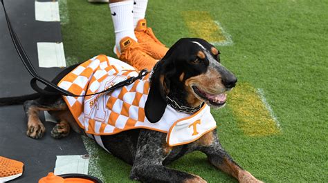 Tennessee football: Smokey X debuts new uniform for 2019 season