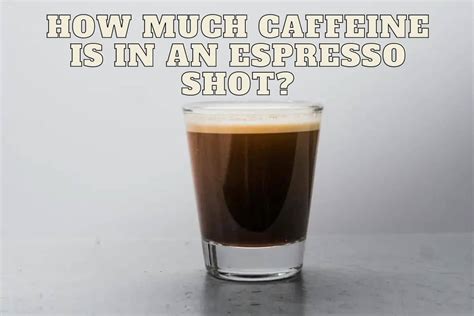 How Much Caffeine In An Espresso Shot? (You Must Know This!) - sNICE Café