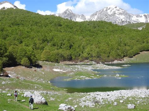 Eco- and Wild-Carnivore Tourism supports Abruzzo National Park, Italy – Linking Tourism ...