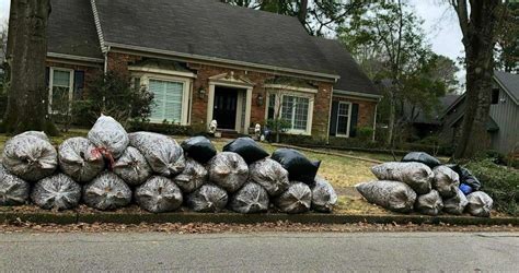 Memphis Tree And Yard Debris Removal | Tree Debris Removal Company