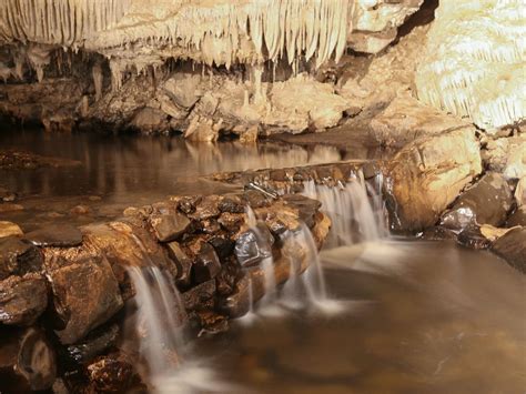 Mole Creek Caves - Marakoopa Cave: Great Cathedral and Glow Worms Tour ...