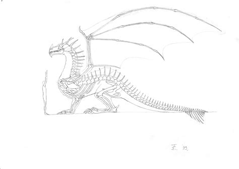 dragon anatomy by azdaja on DeviantArt