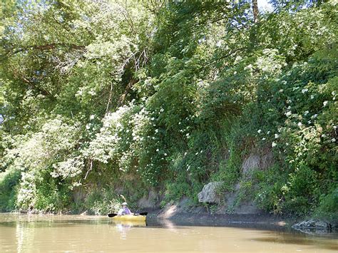 Little Maquoketa River