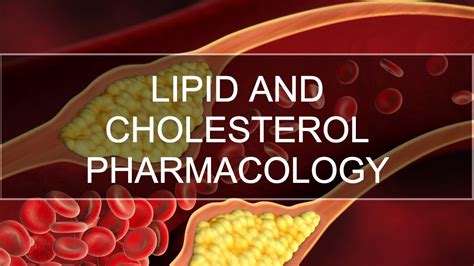 Lipid Lowering Agents (Cholesterol Drugs) - YouTube