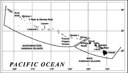 Hawaiian Monk Seal Conservation – Shark Research & Conservation Program (SRC) | University of Miami