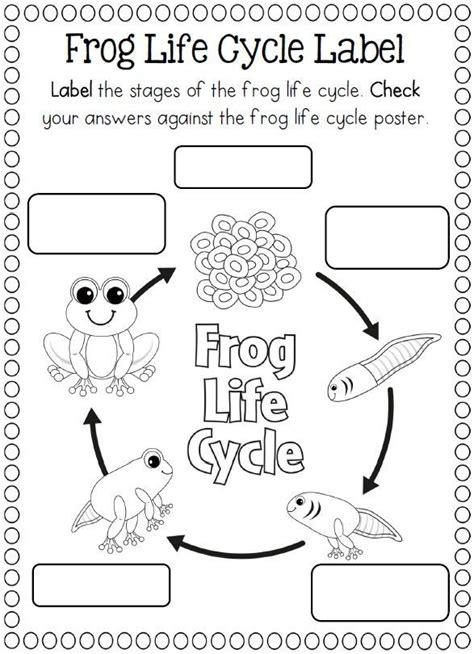 Paper Plate Life Cycles, Frog, Pumpkin, Apple, Sunflower and more ...