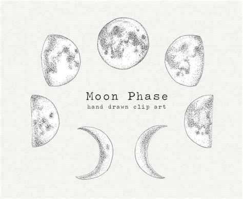 Moon Phase Clipart, Moon Clip Art, Moon PNG, Witchy, Witchcraft, Half ...