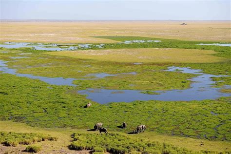 Amboseli Serena Safari Lodge - safari lodge in Amboseli National Park