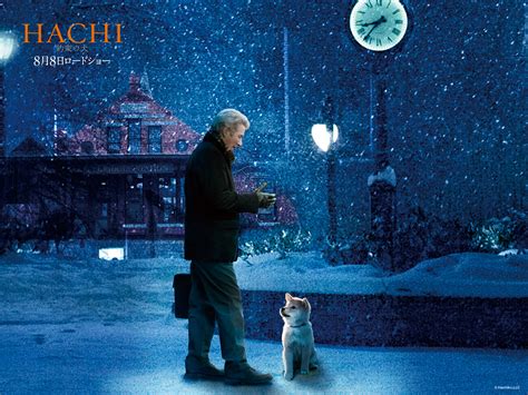 Hachiko my wallpaper by santtoss on DeviantArt