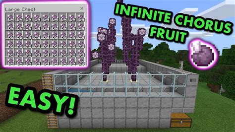 SIMPLE 1.21 CHORUS FRUIT FARM TUTORIAL in Minecraft Bedrock (MCPE/Xbox ...