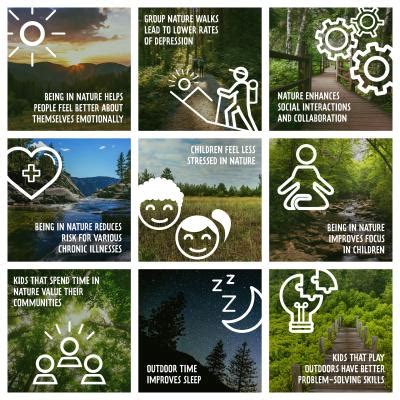 Benefits | Discover the Forest