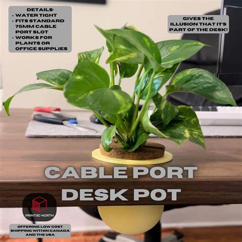 Multifunctional Cable Hole Pot for Desktop, Plant Pot, Pen Holder, Desk Organizer, Office ...