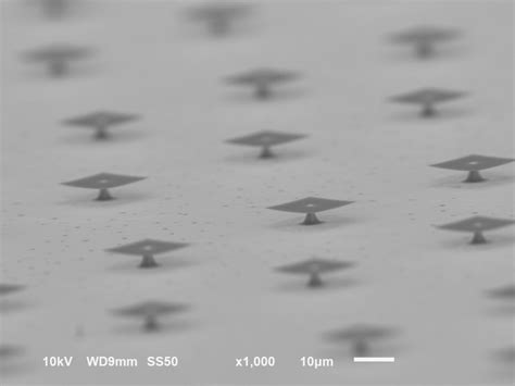 flexCL – AFM Cantilever - FlexInst Scientific