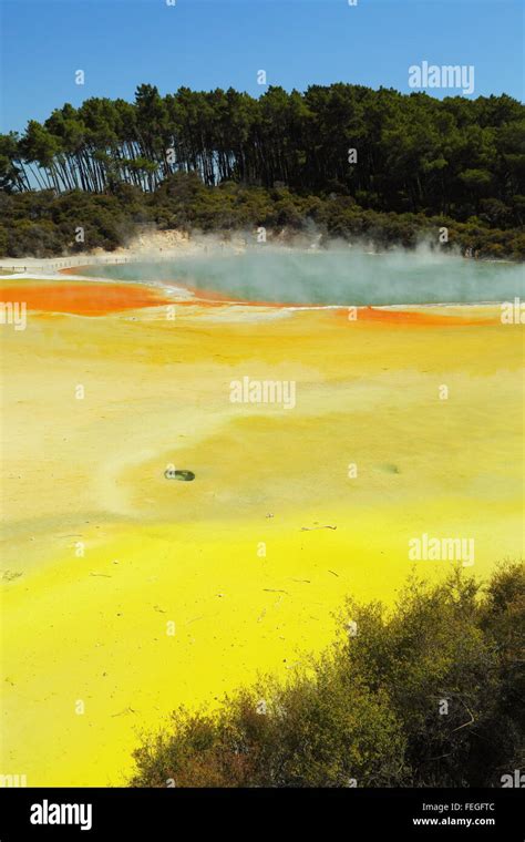Champagne Pool in the stunning and amazing geothermal landscape of Wai-O-Tapu thermal area ...