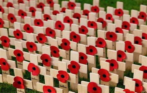 Why The Red Poppy Flower Is Used For Military Remembrances