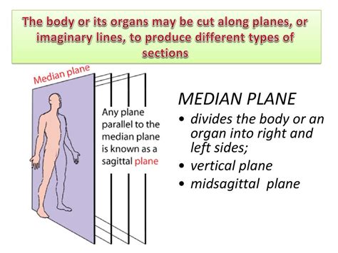 Course Outcomes On completion of the week’s activity, the students should be able to define ...