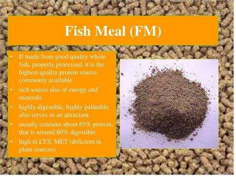 PPT - Feed Ingredients and Physical Characteristics PowerPoint ...