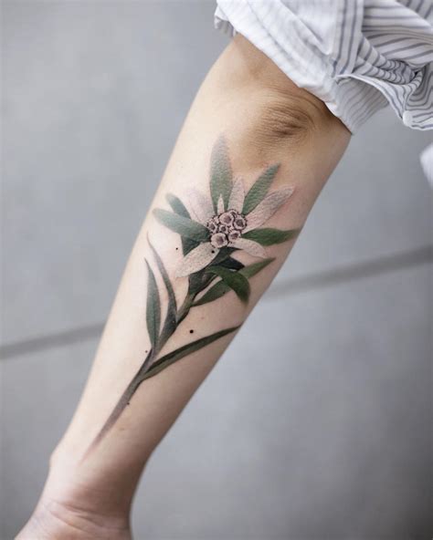 Edelweiss tattoo by tattooist Chenjie - Tattoogrid.net