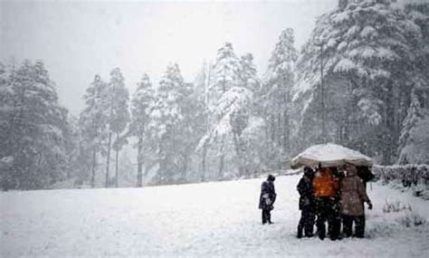 Shimla, Manali receive season's first snowfall | India News – India TV