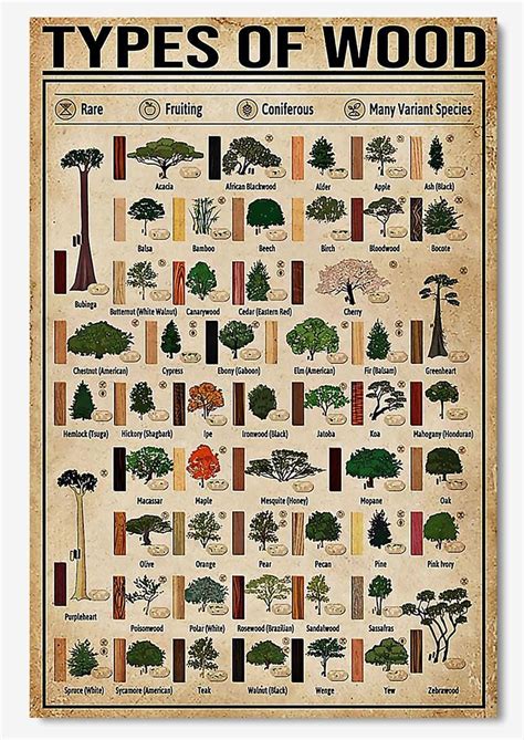 Types Of Wood Carpenter Knowledge Poster, Canvas – Lifegifts.net