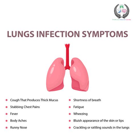 Lung Infection: Types, Symptoms, Treatment Guide