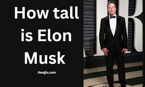 How Tall is Elon Musk (Height, Networth, Biography)