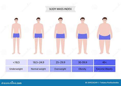 Body mass index man stock vector. Illustration of person - 209226349