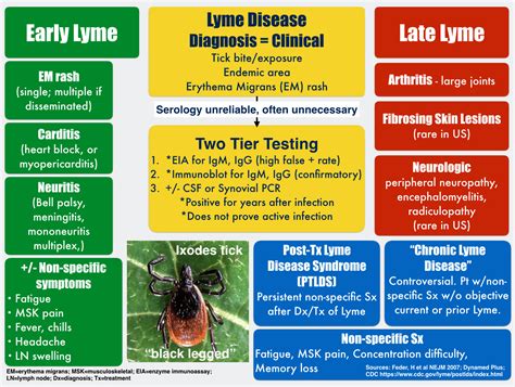 lyme disease,what to know?