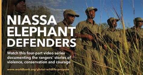 Niassa Elephant Defenders (2018)