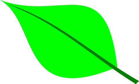 Green Leaf Outline - ClipArt Best