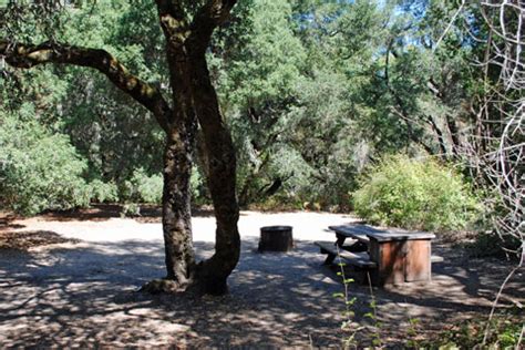 Henry Cowell Redwoods State Park Campground