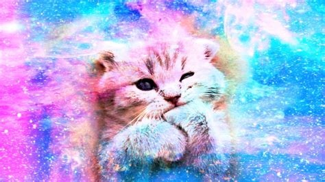 Kitten Pink Wallpapers - 4k, HD Kitten Pink Backgrounds on WallpaperBat