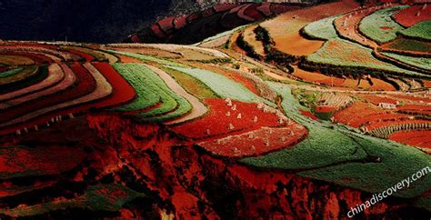 Dongchuan Red Land - God's Magic Palette in Yunnan