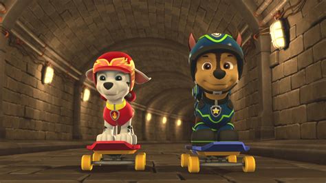 Paw Patrol Zuma Pawpatrol Pawpatrol Paw Patrol Paw Pa - vrogue.co