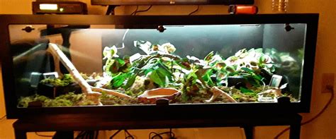 New reptile basics 4x2x15" pvc enclosure : r/BoaConstrictors