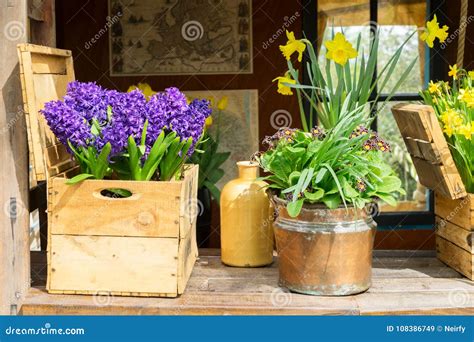 Spring flowers scenery stock image. Image of floral - 108386749