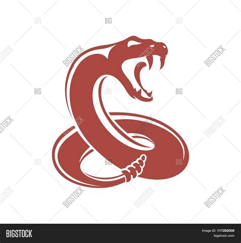 RATTLER SNAKE Vector & Photo (Free Trial) | Bigstock