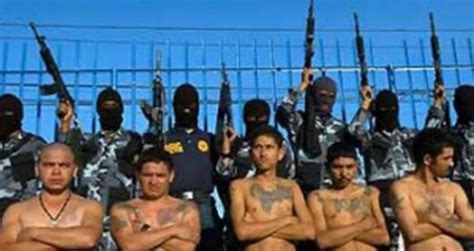 The History of the ZETAS Drug Cartels in Mexico - Videos - Metatube