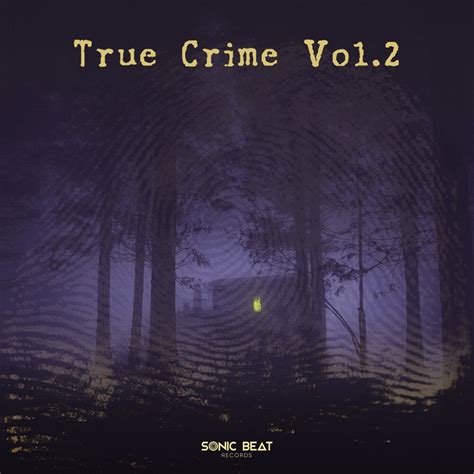 True Crime, Vol.2 by Sonic Beat on Beatsource