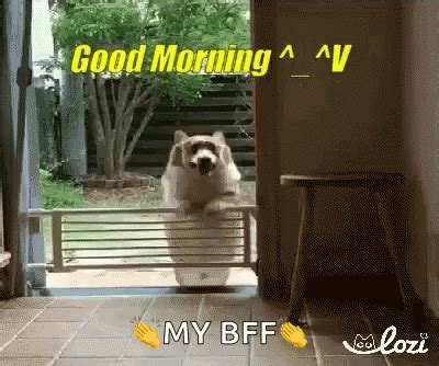 Good Morning Bff GIF - GoodMorning Bff Greetings - Discover & Share GIFs