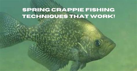 Spring Crappie Fishing Techniques | Surefire Tips