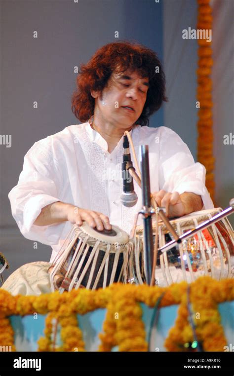 South Asian Indian tabla expert Zakir Hussain live performance Stock ...